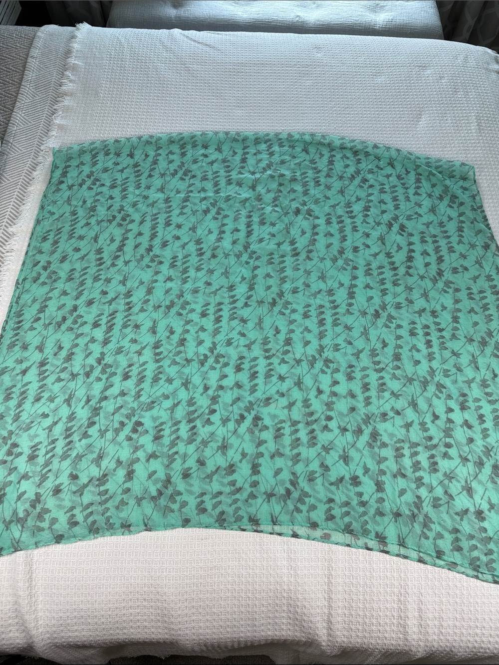 Aqua sheer gauzy sheer lightweight scarf with dray bird print